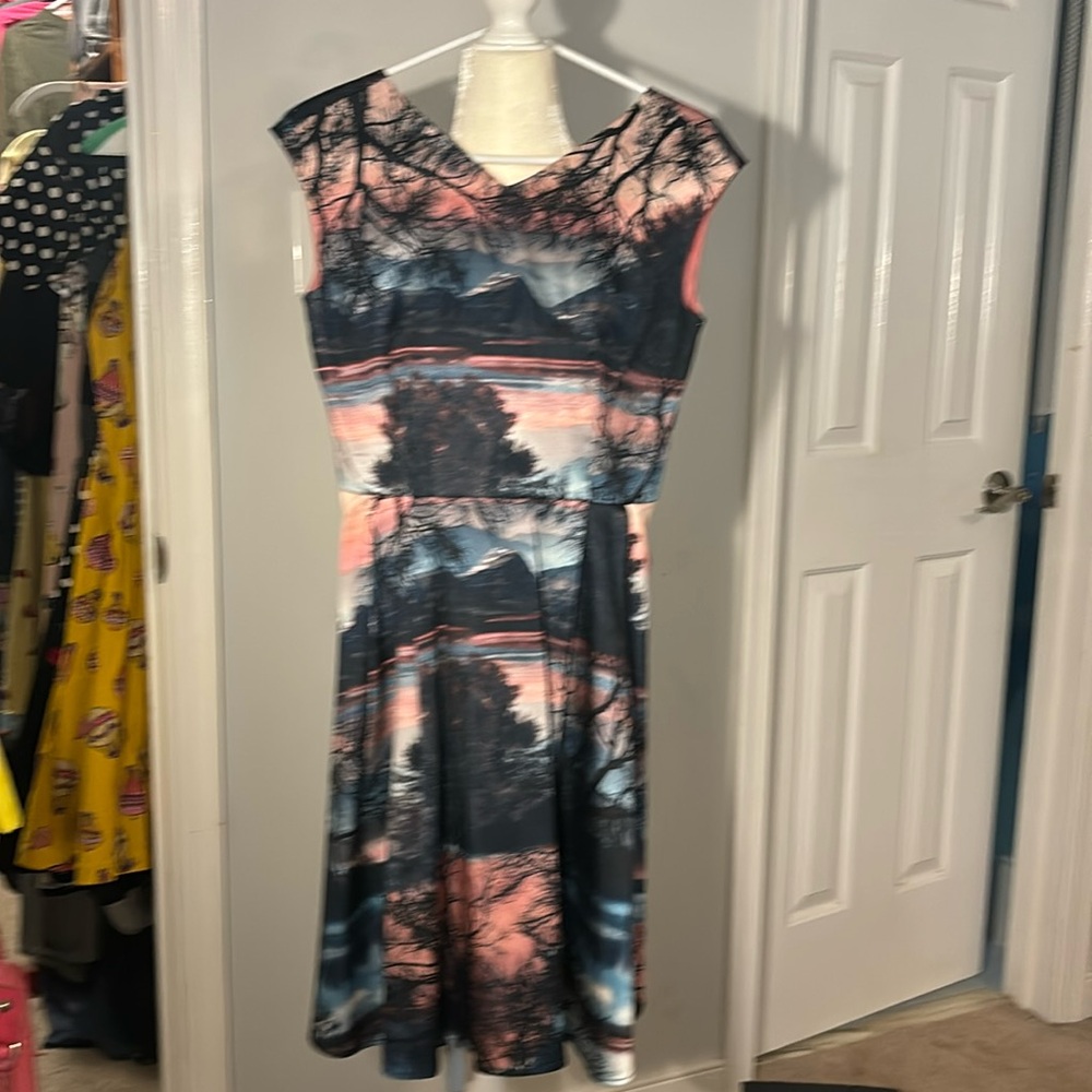 GORGEOUS! Yumi Sunset scene Dress with open back & buckle.